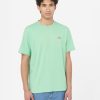 Uomo DICKIES | T-Shirt A Maniche Corte In Mapleton Verde Menta