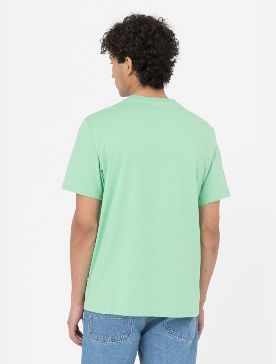 Uomo DICKIES | T-Shirt A Maniche Corte In Mapleton Verde Menta