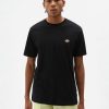 Uomo DICKIES | T-Shirt A Maniche Corte Color Mapleton Marrone