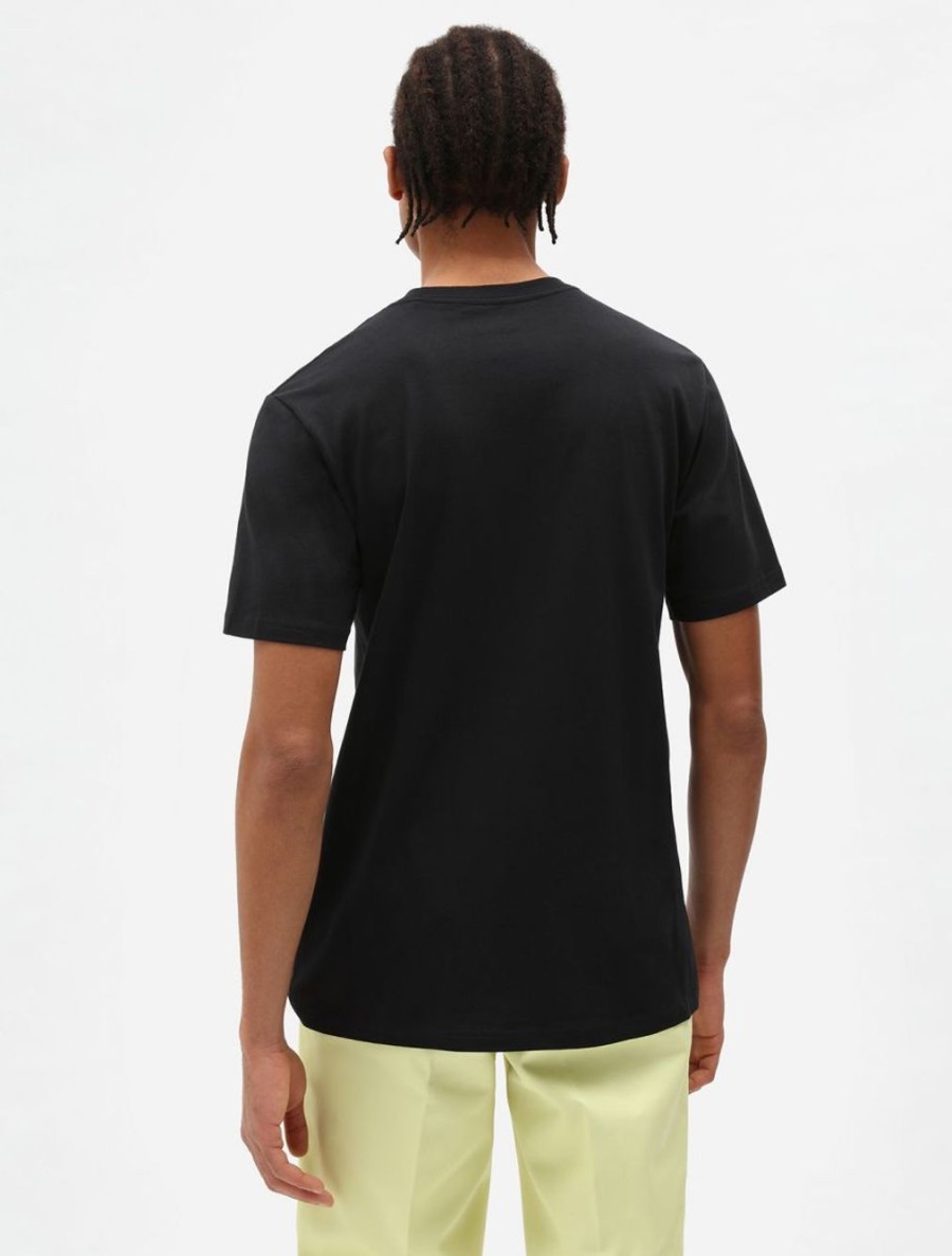 Uomo DICKIES | T-Shirt A Maniche Corte Color Mapleton Marrone